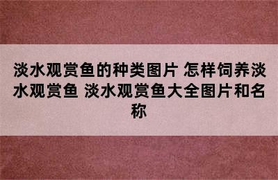 淡水观赏鱼的种类图片 怎样饲养淡水观赏鱼 淡水观赏鱼大全图片和名称